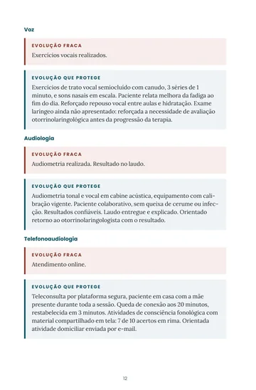 Página 2 do trecho de O Prontuário Blindado na Fonoaudiologia